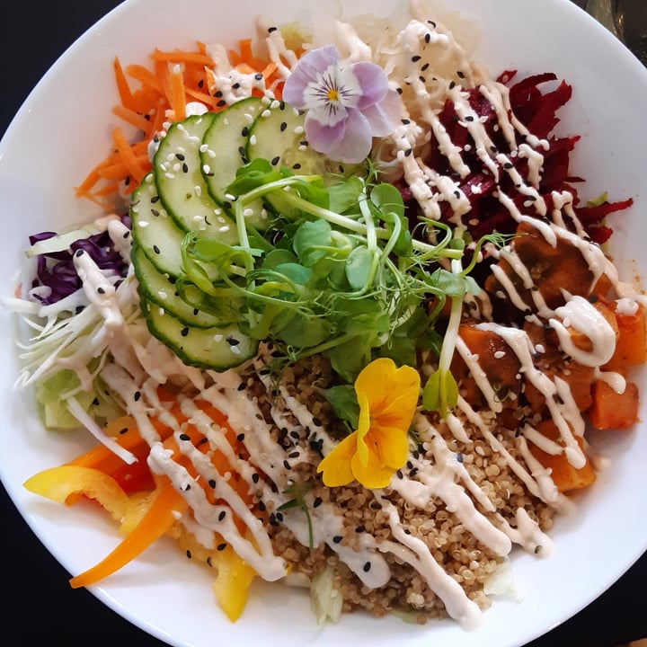 photo of Pure Vegan Buddha Bowl shared by @geo23 on  11 Feb 2023 - review