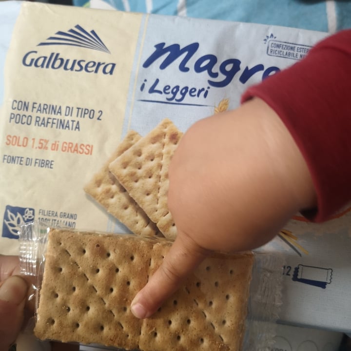 Galbusera Magretti i leggeri SEMPLICEMENTE ACQUA E FARINA Review | abillion