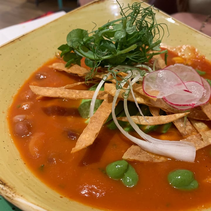 photo of Gordos Mexican Tortilla Soup shared by @lilimei2000 on  26 Jun 2023 - review