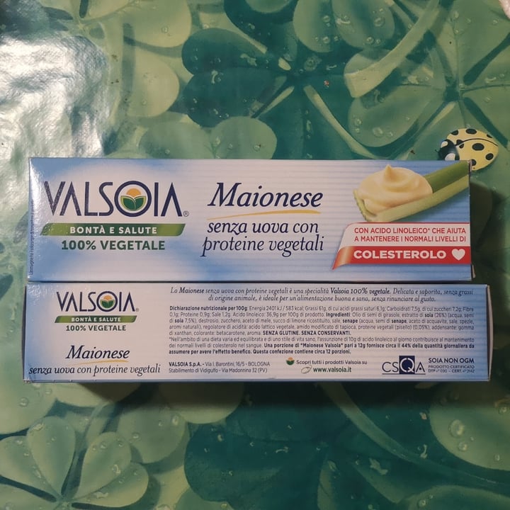 photo of Valsoia Maionese senza uova shared by @dippy on  27 Jan 2023 - review