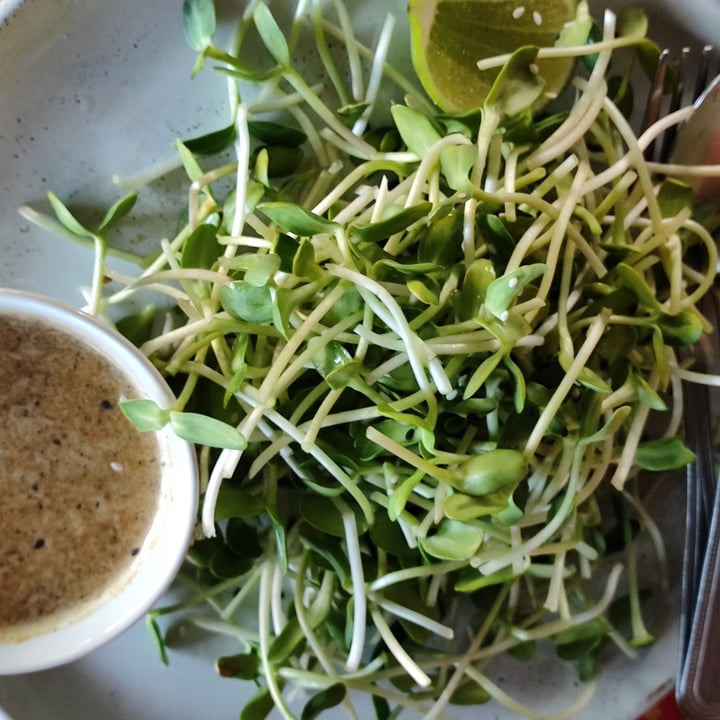 photo of Earth Tone vegetarian cafe and health shop Organic Sprout Salad shared by @littleredmushroom on  23 Jan 2023 - review
