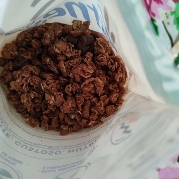 photo of Nestlé Chocolate Fitness Granola shared by @salsaponsu on  20 Jun 2023 - review