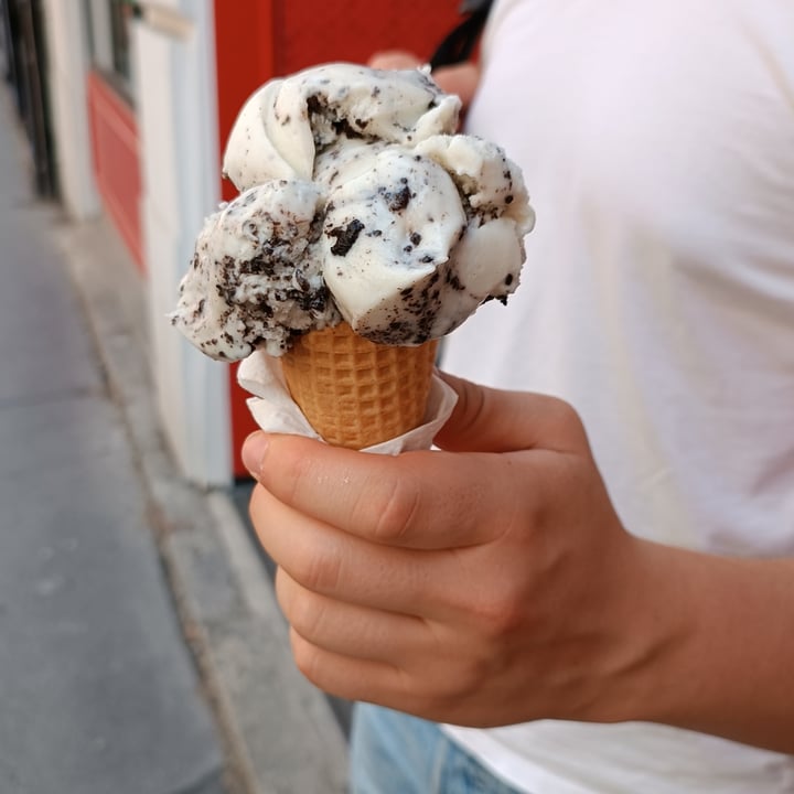 photo of Veganista Cookies Ice Cream shared by @ilabonvy on  25 Jun 2023 - review