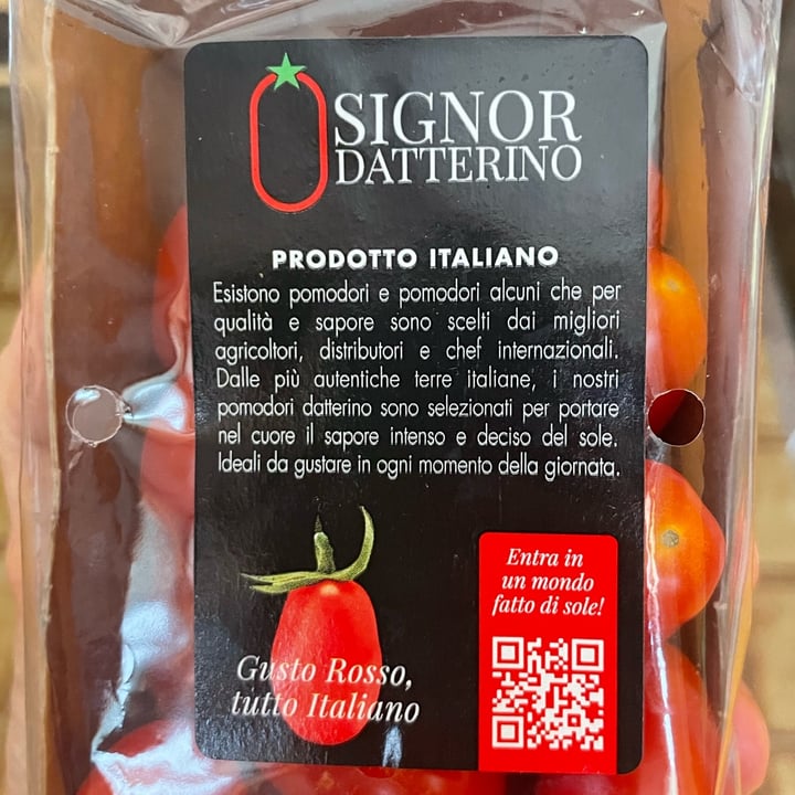 photo of O signor datterino O signor datterino shared by @cinziagilmore on  11 Aug 2023 - review