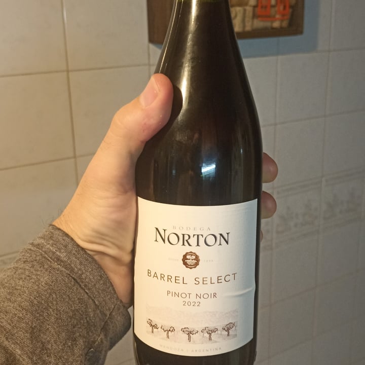 photo of Bodega Norton Altura Pinot Noir shared by @leosebasosaacevedo on  04 May 2023 - review