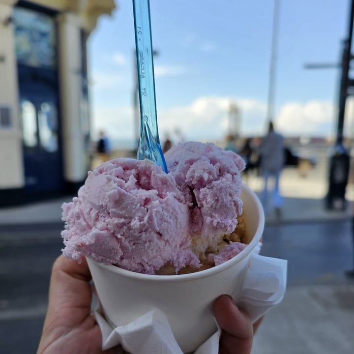 photo of Cafe G Plant Based Ice Cream shared by @snowfairysugar on  11 May 2023 - review