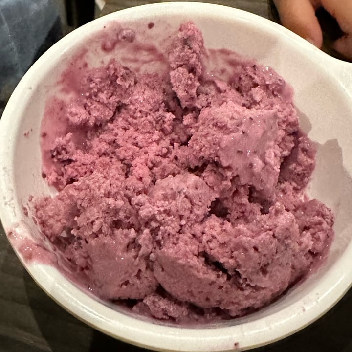 photo of Tribeca (formerly Aquadisiac) Mixed Berries Sorbet shared by @mrdonut on  11 Jan 2023 - review