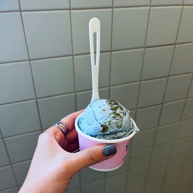 Van Leeuwen Ice Cream