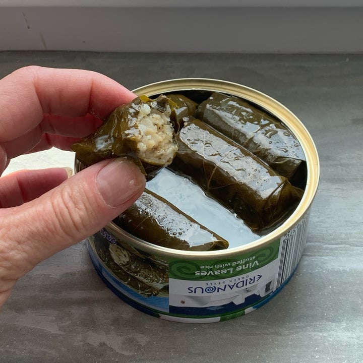 photo of Eridanous Vine leaves stuffed with rice shared by @unejanie on  30 May 2023 - review