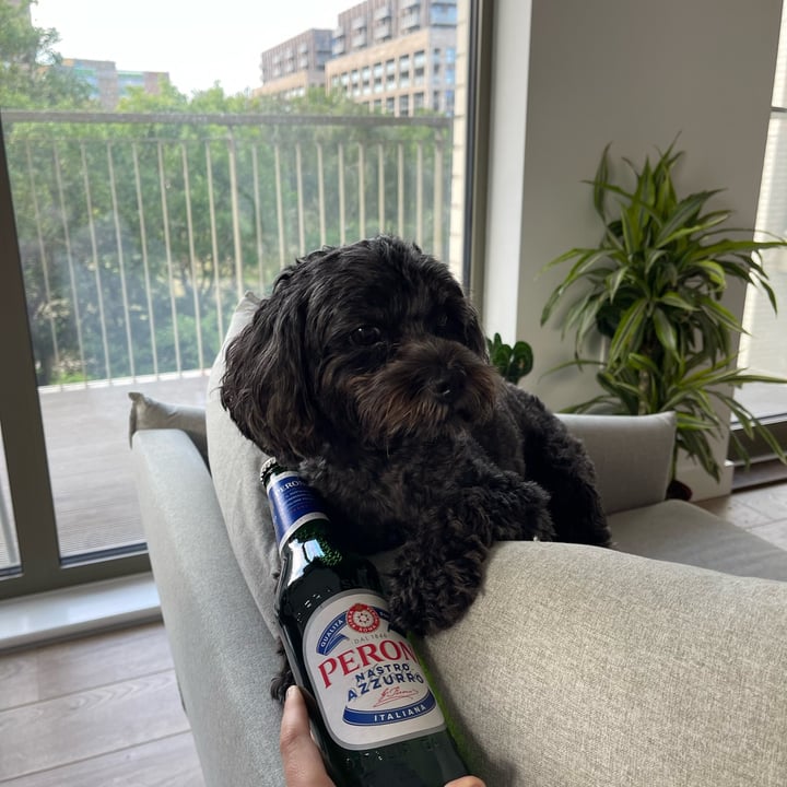 photo of Peroni Nastro azzurro beer shared by @karynjohnston on  01 Aug 2023 - review