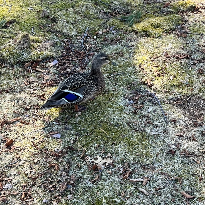 photo shared by @juliachavy on  21 Mar 2023 - post