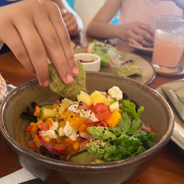 photo of Zamá Restaurante ceviche veggie shared by @llarranaga on  02 Apr 2023 - review
