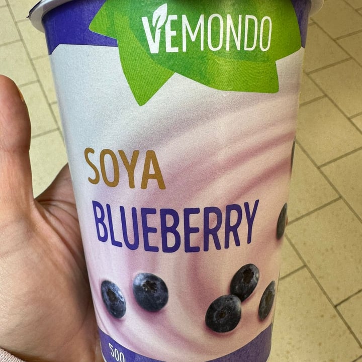 photo of Vemondo Yogurt soya blueberry shared by @ramseier on  18 Apr 2023 - review