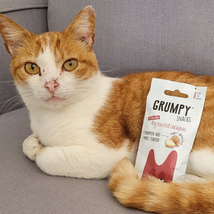 photo of Grumpy Snacks cinnamon and maple chickpeas shared by @simonel on  10 Feb 2023 - review