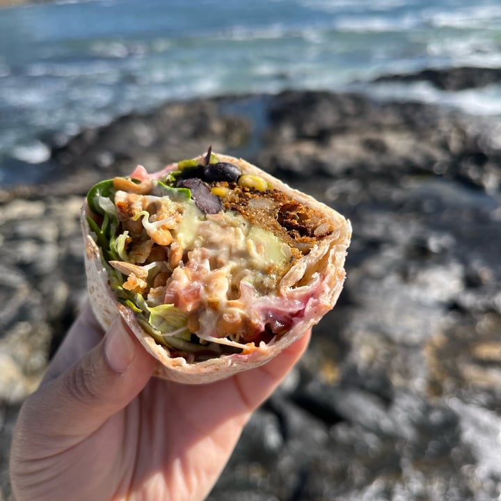 photo of The Sunshine Food Sprouting Co Veg Burger Wrap shared by @mienamoo on  04 Apr 2023 - review