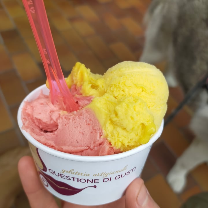 photo of Questione di Gusti Gelato In Coppetta shared by @lisabonisiol on  10 Apr 2023 - review