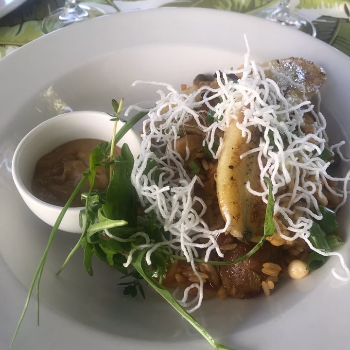photo of Avontuur Estate Restaurant Nasi goreng shared by @natasha21 on  18 Jan 2023 - review