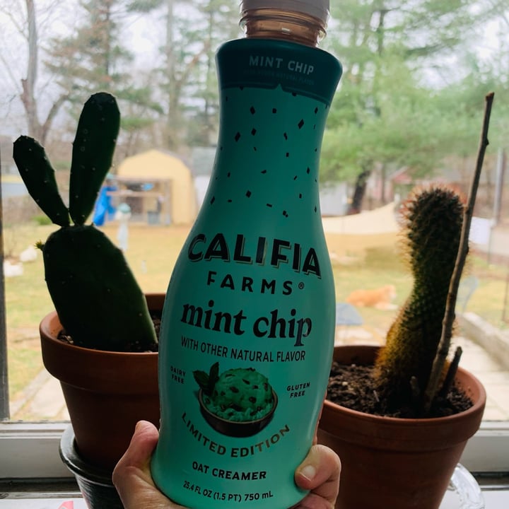 photo of Califia Farms Mint Chip Oat Creamer shared by @allhess on  17 Mar 2023 - review