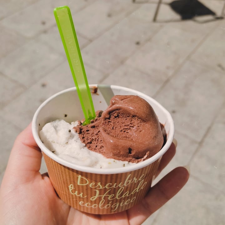 photo of The Bio Factory helado vegano de menta chocolate shared by @notyetem on  07 Aug 2023 - review