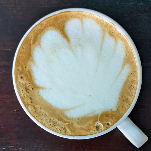 Photo of the dish “Cappuccino”
