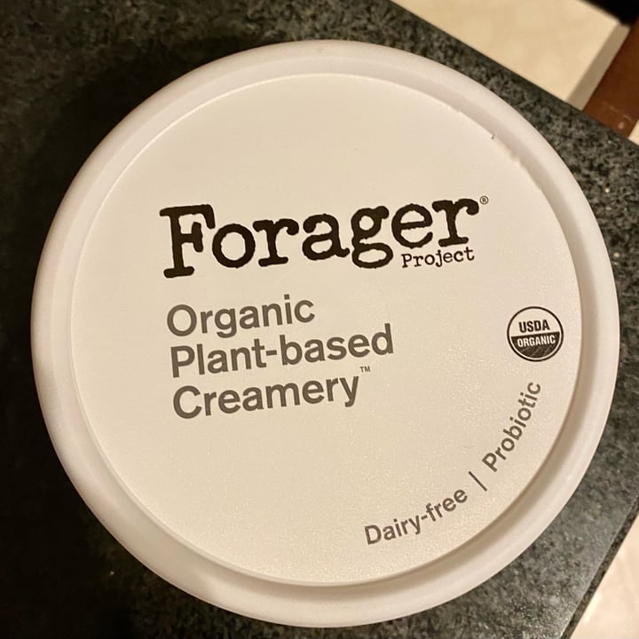 Forager Project Organic Dairy-free Sour Cream Review | Abillion