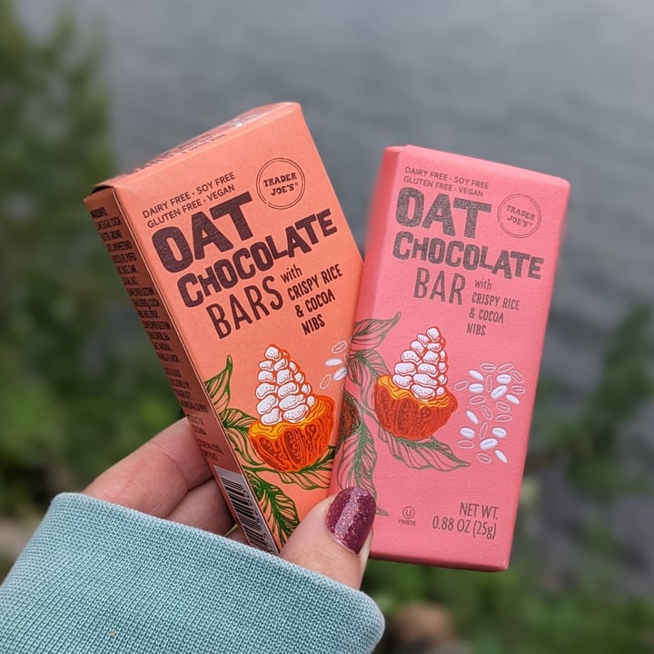 Trader Joe's Oat Chocolate Bars with Crispy Rice and Cocoa Nibs Review