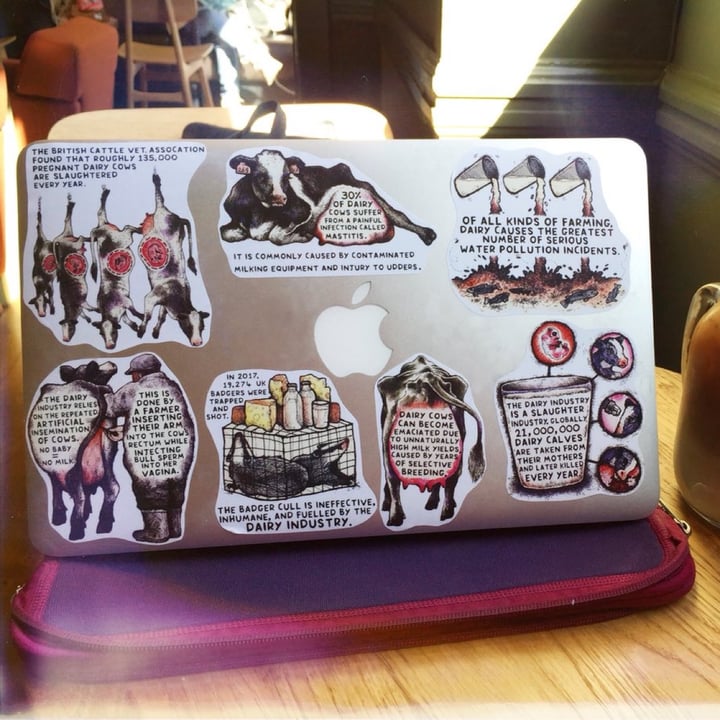 photo of undefined undefined shared by @katelouisepowell on  17 Jan 2023 - review