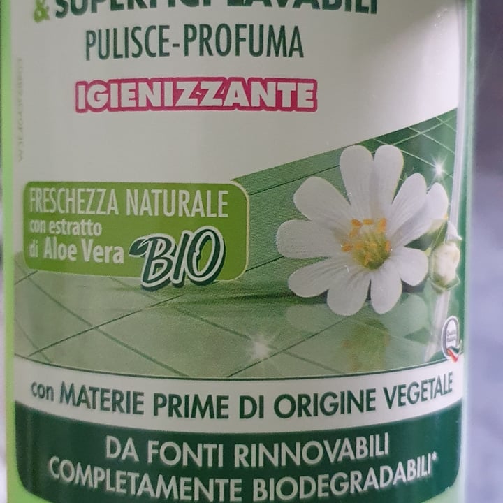 photo of Winni's pavimenti Detergente pavimenti shared by @francescarest on  17 Jun 2023 - review
