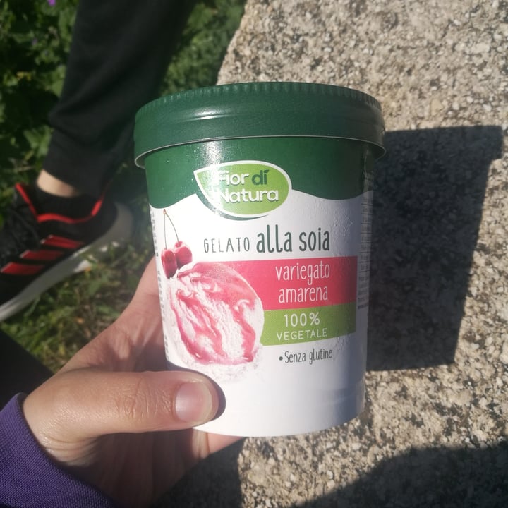 photo of Fior di Natura Gelato Alla Soia Variegato Amarena shared by @lucylenia on  29 Mar 2023 - review