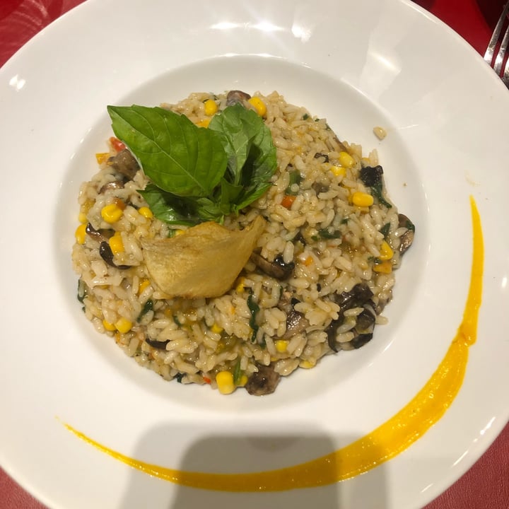 photo of Tierra de Azafranes- Arrocería Restaurante rissoto de vegetales (pedir sin manteca ni queso) shared by @plantbasednatural on  07 Jan 2023 - review