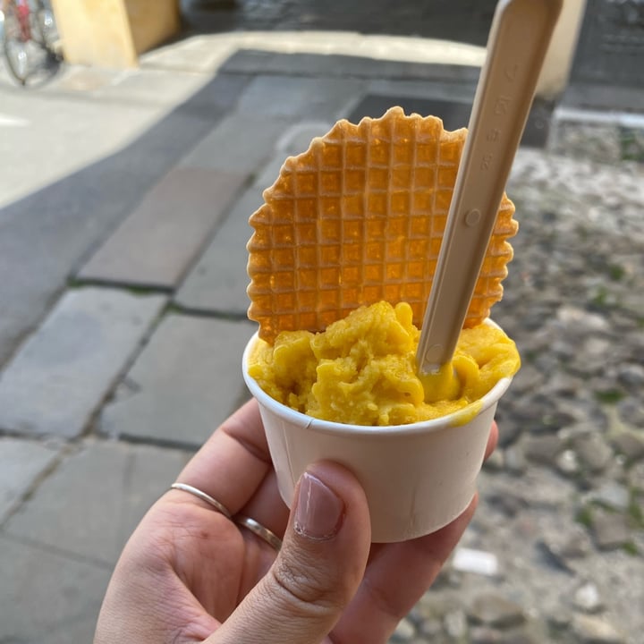 photo of Portello 20 Gelato al Mango shared by @aleglass on  23 May 2023 - review