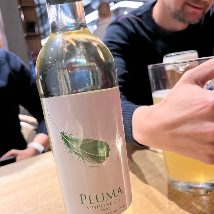 photo of Pluma vinho verde vinho verde shared by @rebeljana on  09 May 2023 - review