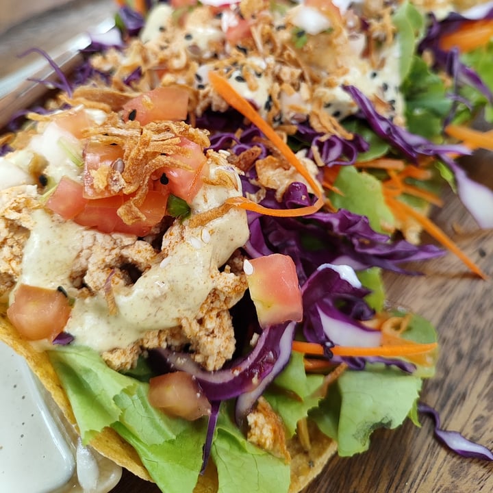 photo of Pure Vegan Heaven Chiang Mai Pure Tacos shared by @littleredmushroom on  03 Mar 2023 - review