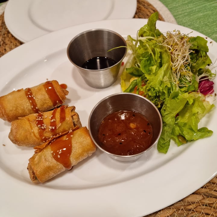 photo of Ecocentro Rollitos con tofu y verduras shared by @safariveg on  18 Jan 2023 - review