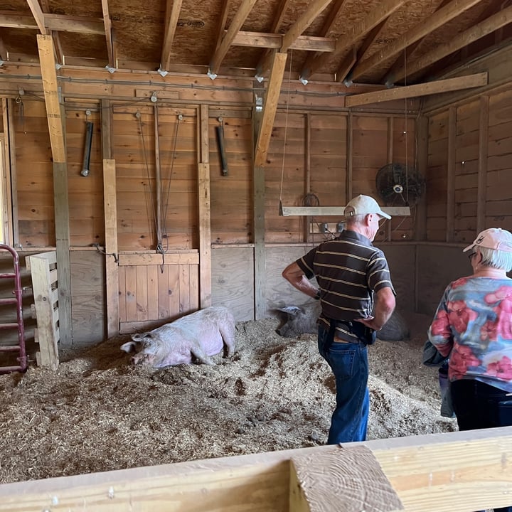 photo shared by @woodstocksanctuary on  16 Jun 2023 - post