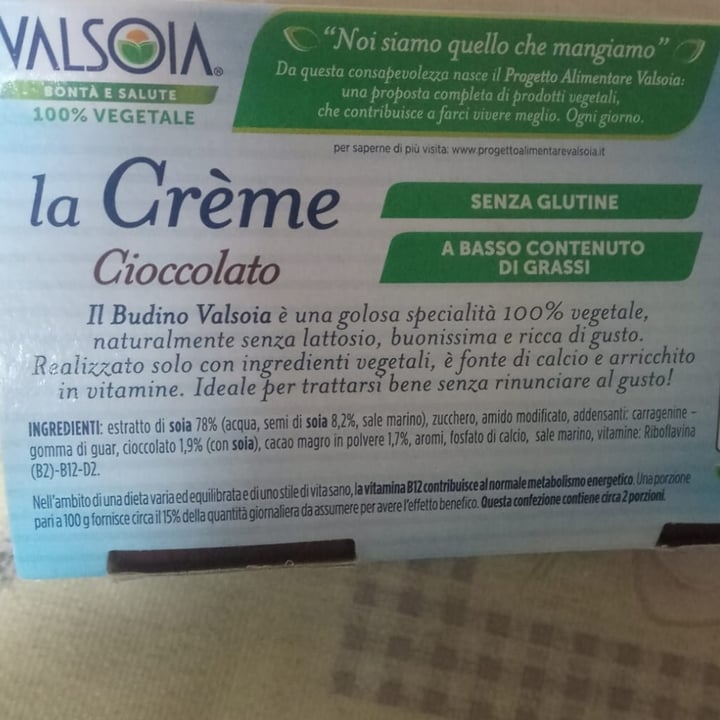 photo of Valsoia La Crème Cioccolato Gusto Intenso shared by @elaisa-veg on  30 May 2023 - review