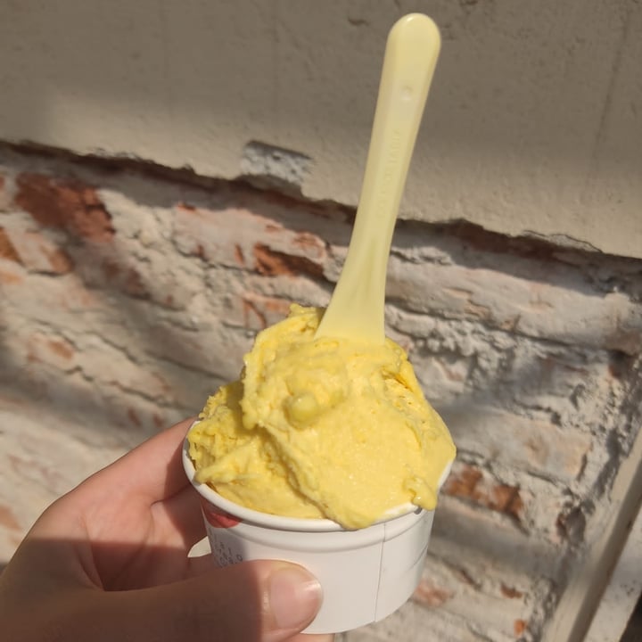 photo of Gelateria Deretti Gelato al passion fruit shared by @chiara-5 on  13 Jun 2023 - review