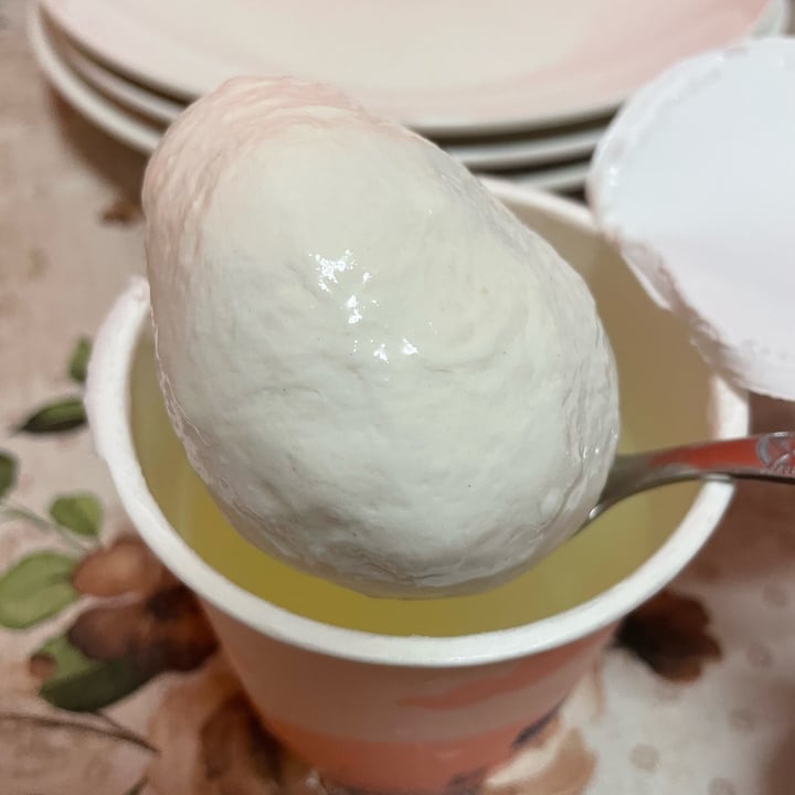 photo of Dream Farm Alternativa vegetale alla mozzarella shared by @misscyanide on  28 May 2023 - review
