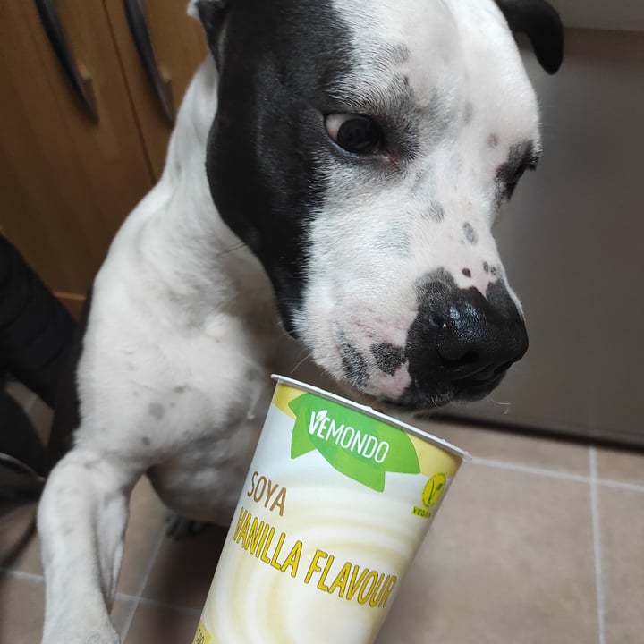 photo of Vemondo Soya Vanilla Flavour Yogurt shared by @pokaspekas on  26 Feb 2023 - review