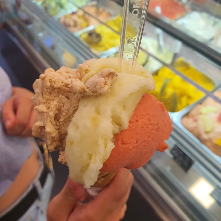 photo of Ice Cream Festival Gelato Mela Verde Fragola E Cappuccino shared by @269vegan269 on  12 Jul 2023 - review