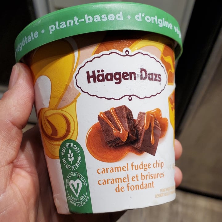photo of Häagen-Dazs caramel fudge chip shared by @courage-and-a-brick on  06 Jun 2023 - review