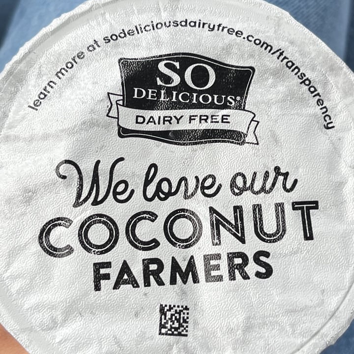 photo of So Delicious Dairy Free coconut yogurt raspberry shared by @allcowsfeelpaingoveg on  13 Jan 2023 - review