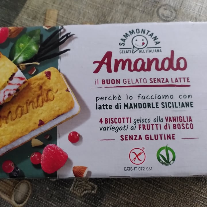 photo of Sammontana Amando biscotti gelato alla vaniglia variegato ai frutti di bosco shared by @walkabout-veg on  07 Jul 2023 - review