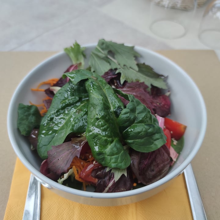 photo of Teresa Of Strawberries Insalata aromatica shared by @liffa91 on  27 Feb 2023 - review