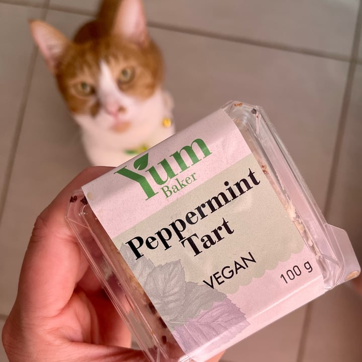 photo of Yum Baker Peppermint Crisp Tart shared by @jeanne-marie on  15 Mar 2023 - review