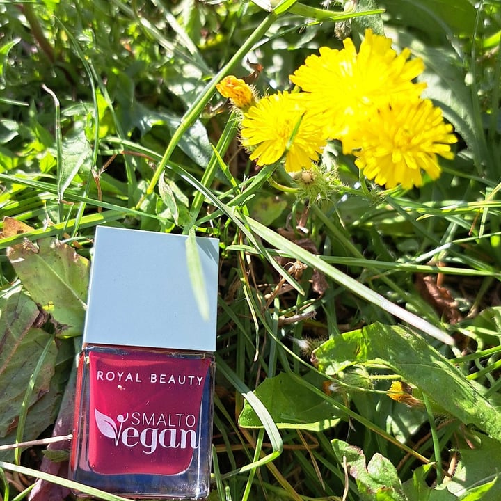 photo of Royal beauty smalto vegan shared by @liu69 on  09 Jul 2023 - review