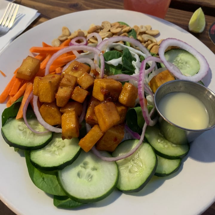 photo of Longs Peak Pub & Taphouse thai tofu salad shared by @atwilley on  22 May 2023 - review