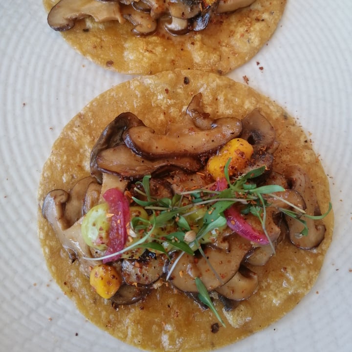 photo of Regato tacos De champiñons shared by @lepr on  06 Aug 2023 - review