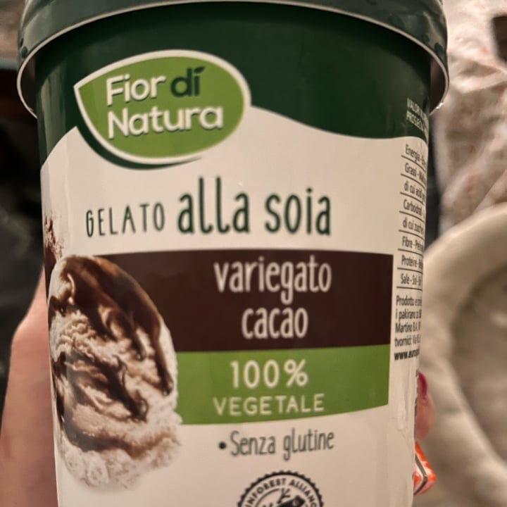 photo of Fior di Natura gelato alla soia variegato al cacao shared by @paolinalambretta on  01 Apr 2023 - review