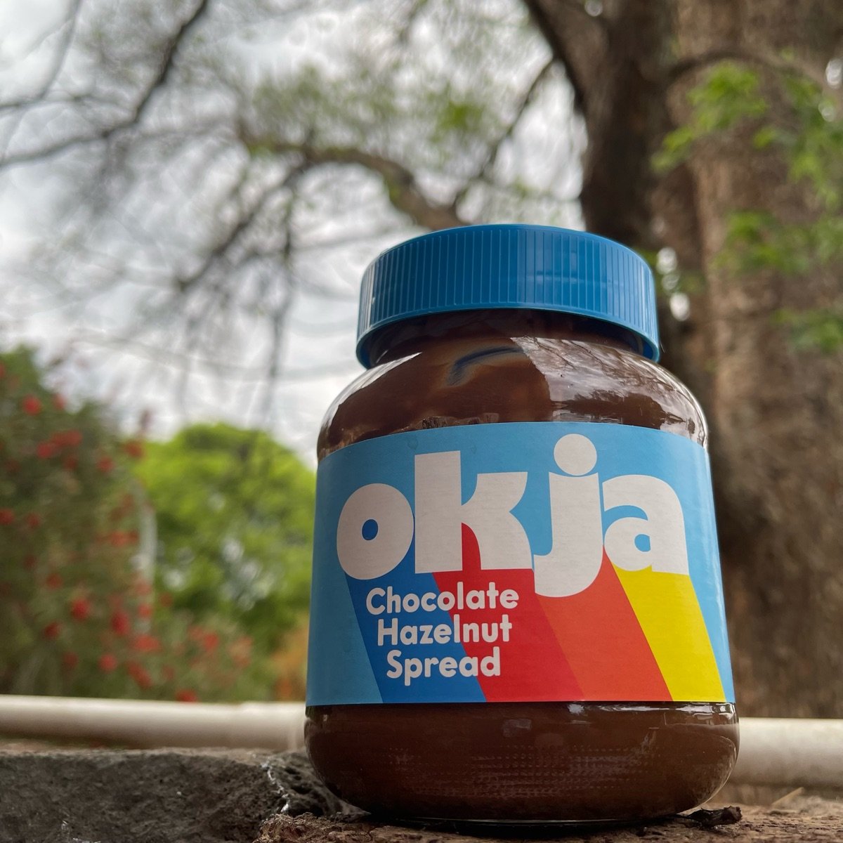 okja Chocolate Hazelnut Spread Reviews abillion